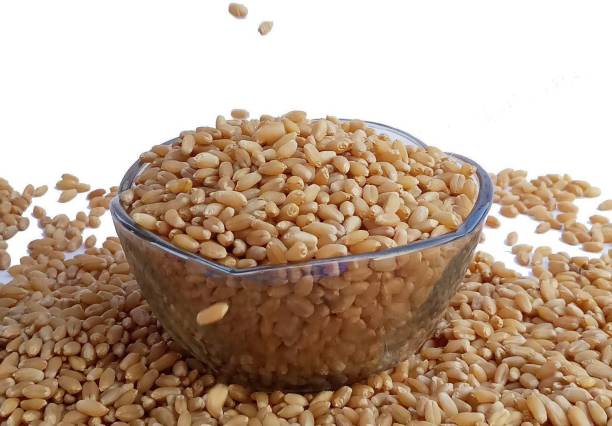    Gahu sortex 1kg
